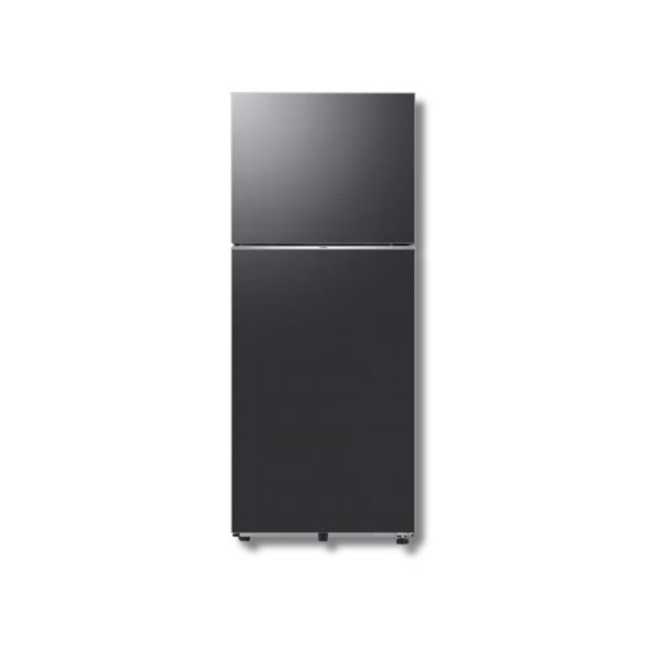 SAMSUNG 396 L, 2 Star Frost Free Double Door Refrigerator (RT41DG6A2BB1HL)